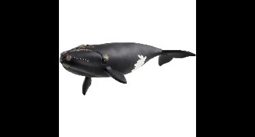 Schleich Wild Life - Noordkaper speelfiguur