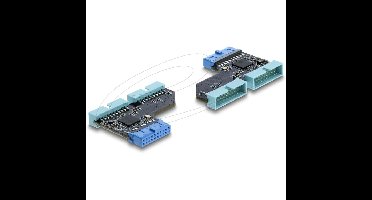 DeLOCK USB 5 Gbps Hub 20 pin header female to 2 x USB 5 Gbps 20 pin header male adapter