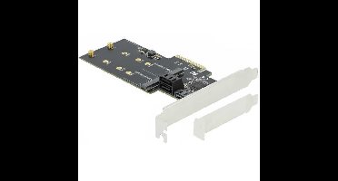 DeLOCK 3 Port SATA en 2 slot M.2 key B PCI Express x4 Card Low Profile interface kaart