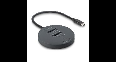 DeLOCK USB-C M.2 dockingstation voor 2x M.2 NVMe PCIe SSD