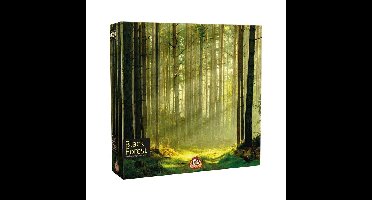 White Goblin Games Black Forest Bordspel