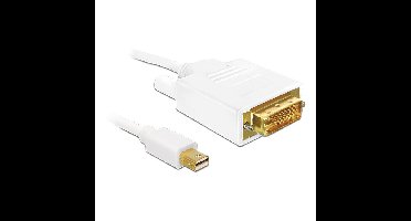 DeLOCK Mini-DisplayPort naar DVI-D Kabel adapter