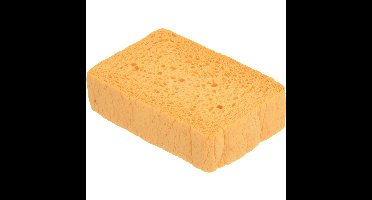 reinigingsspons voor stoomoven en oveninterieur