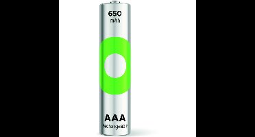 ReCyko+ AAA Oplaadbare Batterijen 650 mAh - Blister 2 stuks