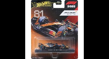 Hot Wheels – Formula 1 McLaren RC Driver 1 1:64 (JKD81)