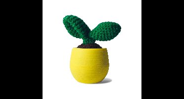 Mustard - Crochet Cacti - Green - 15 cm x 10 cm