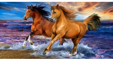 Towel - 70 x 140 cm - Horses (110043)
