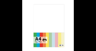 Papier A4 wit 100 vel 110 grams