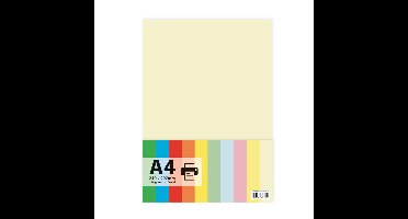 Papier A4 ivoor 100 vel 110 grams