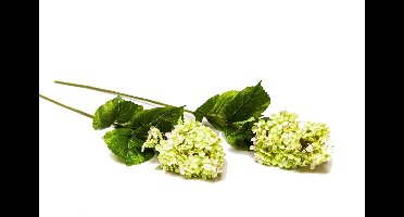 Kunstbloem Hydrangea Microphila