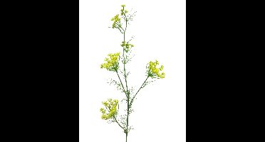 Dancus Carota Dille 120cm geel