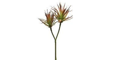 Agave plant pick x2 red 64cm