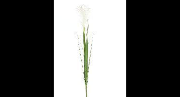 Wilde vossestaartgras spray wit 107cm