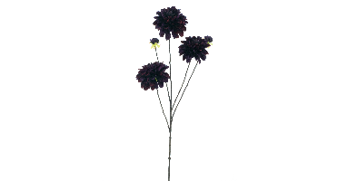 Dahlia spray Capitolburgundy 89cm