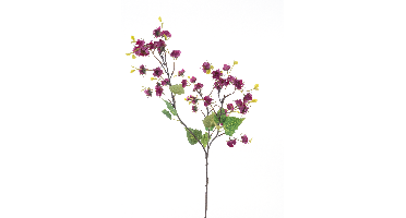 Mini physalis sprayred 92cm