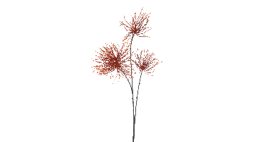 Weeds spray orange 94cm