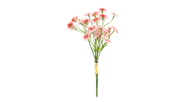 Dianthus bundle pink 27cm