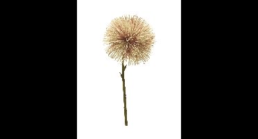 Taraxacum flower pink 47cm