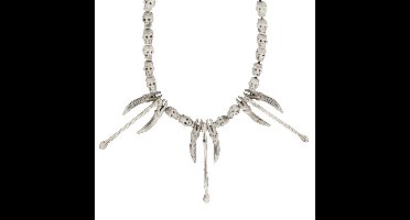 Ketting holbewoner