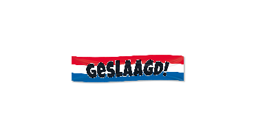 XXL Flag banner geslaagd roodw-wit-blauw