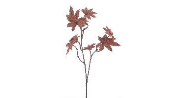 Rock maple spray copper 68cm