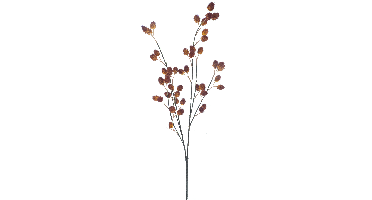 Rasberry spray orange 91cm