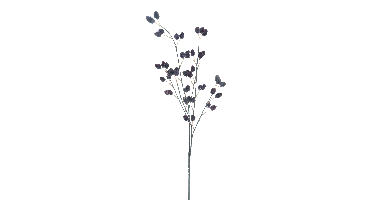 Rasberry spray purple 91cm