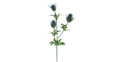 Thistle spray Viggo blue 83cm