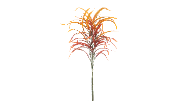 Comosum spray bundle X3 red 68cm