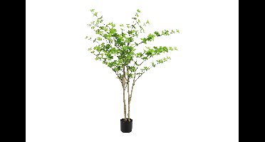 Decostar Countryfield Kunstplant Dysosma pleiantha M groen