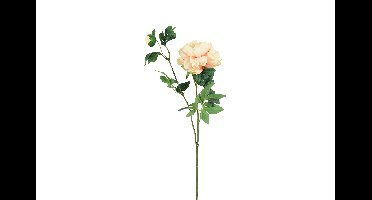 Decostar Countryfield Kunstbloem Paeonia S zalm-L15B15H68CM