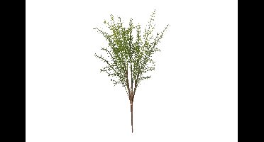 Decostar Countryfield Kunstblad Asparagus Moogri S groen