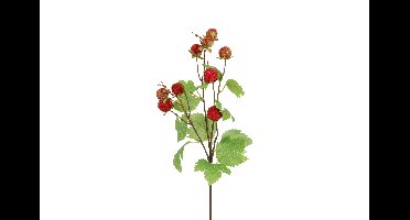 Decostar Countryfield Kunstbes Rubus idaeus rood-L15B15H71CM