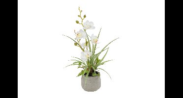 Decostar Countryfield Kunstplant Phalenopsis mini w/pot arrangement