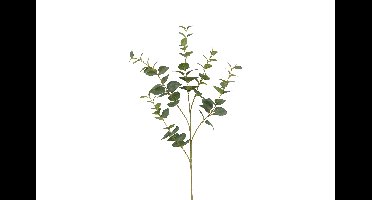 Decostar Countryfield Kunstblad Eucalyptus Cinerea M groen-L15B15H94CM
