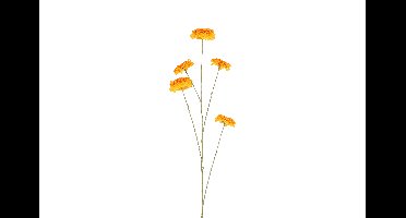 Decostar Countryfield Kunstbloem bloem Zinnia geel