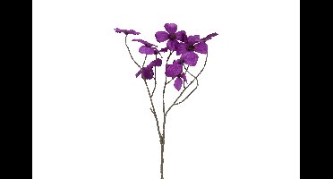 Decostar Countryfield Kunstbloem Beau Cornus paars-L67B26H26CM