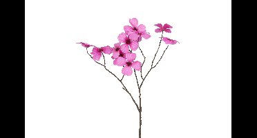 Decostar Countryfield Kunstbloem Beau Cornus paars-L67B26H26CM