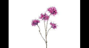 Decostar Countryfield Kunstbloem Beau Lychnis paars-L81B22H22CM