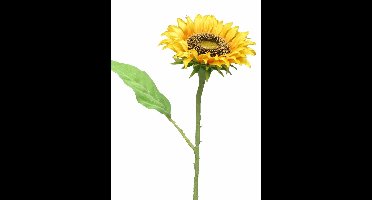 Sunflower Tuscany yellow small 42cm