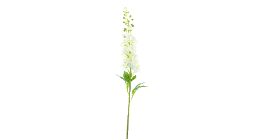Delphinium spray Roland white 87cm