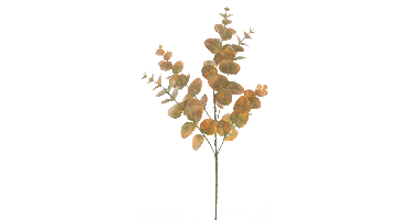 Eucalyptus spray Monica yellow 63cm