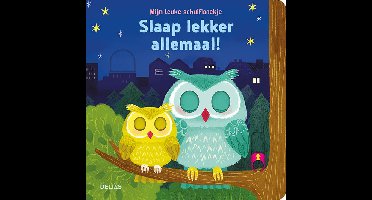 Mijn leuke schuifboekje - slaap lekker allemaal!