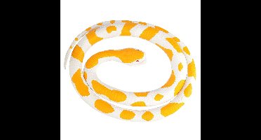 Wild Republic Albino python slang - Rubberen Slang - 117 cm