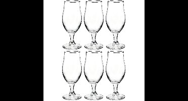6x Stuks luxe bierglazen voor speciaalbier 520 ml