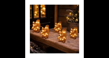 Lumineo Lichtsnoer - 5 verlichte eekhoorns - LED lichtsnoer - 17,5 x 200 x 13,5 cm - kerstverlichtin