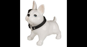 Spaarpot franse bulldog - 21 x 19 cm - keramiek - honden spaarpot