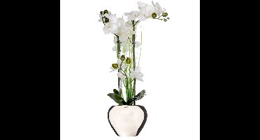 Atmosphera Orchidee bloem kunstplant - wit - H53 x B37 cm