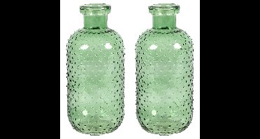 Bloemenvaas Cactus Dots - 2x - groen transparant - glas - D11 x H24 cm