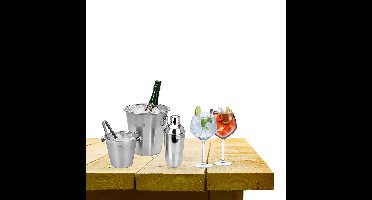 Complete bar set met 4x Gin Tonic cocktailglazen en cocktailshaker